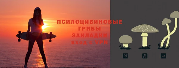 шишки Кинешма