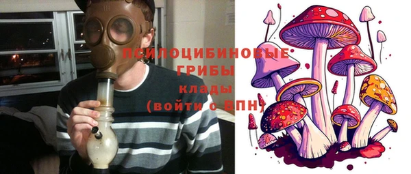шишки Кинешма