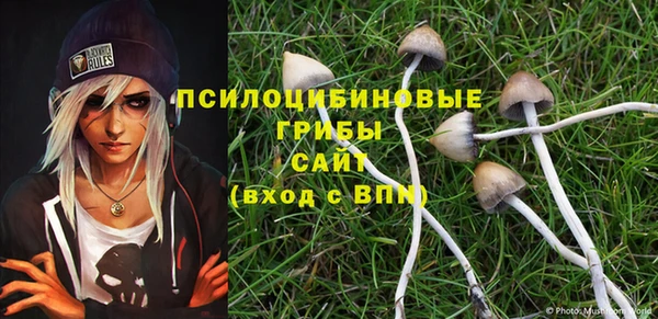 твердый Киреевск