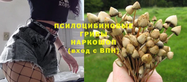 твердый Киреевск