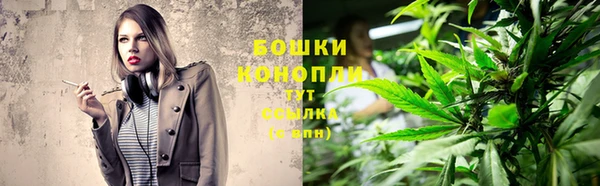 шишки Кинешма
